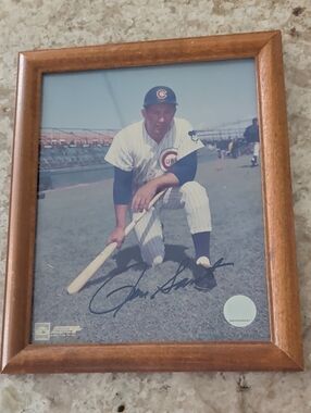 Vintage Autograph Ron Santo MLB Hologram Authentic Wooden Framed Picture 8x10